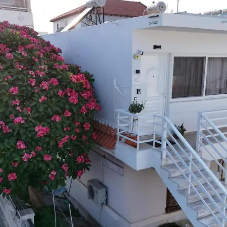 Apartment Capsule House - Modern Near Old Town And *